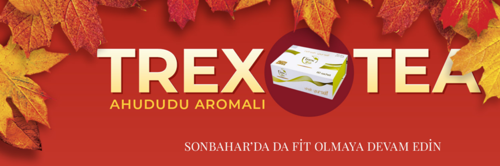 Trex Tea 60 Sachets - Gourmeshop Online Store Turkey